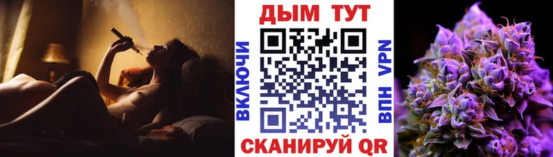 Купить где  Чулым  Каннабис семена 
